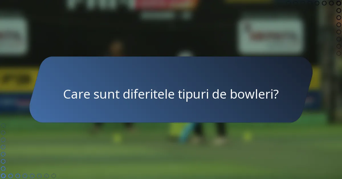 Care sunt diferitele tipuri de bowleri?