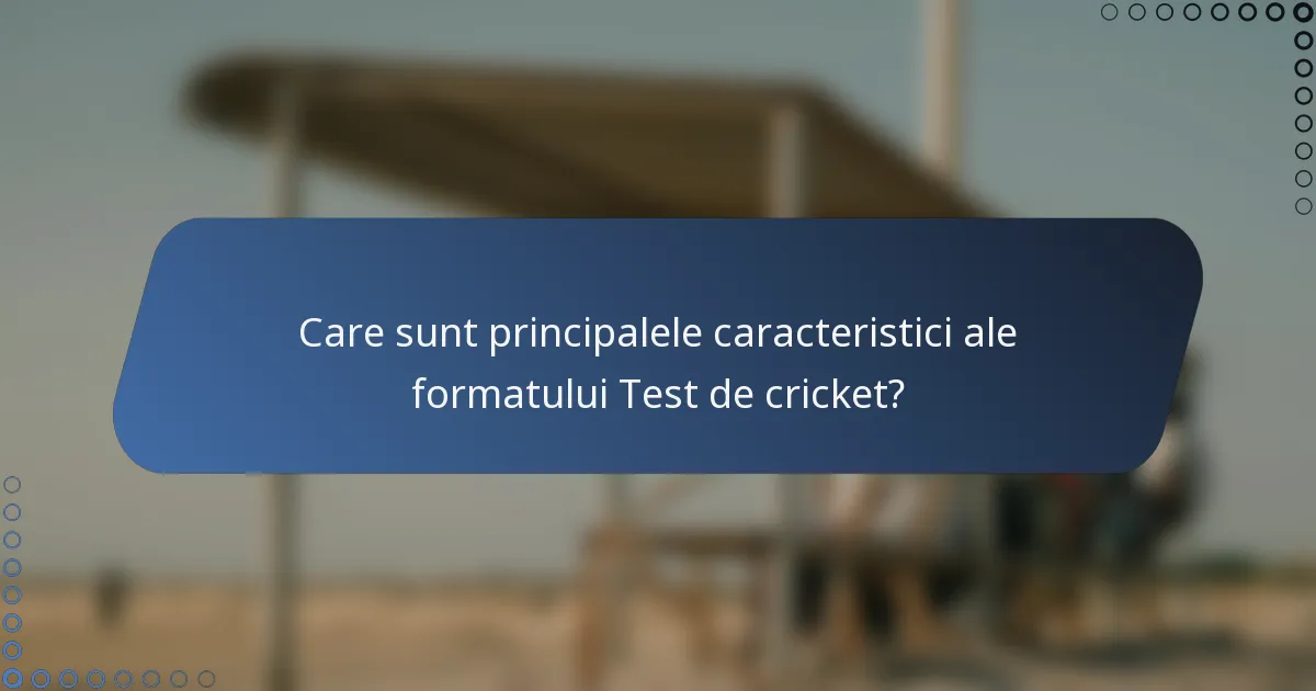 Care sunt principalele caracteristici ale formatului Test de cricket?
