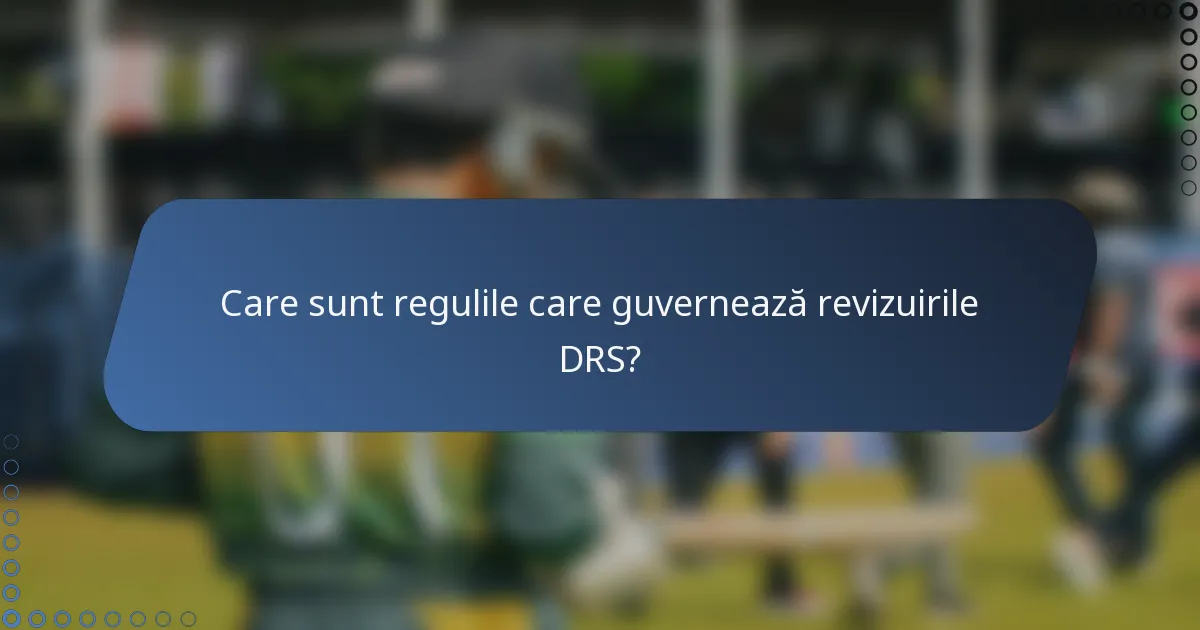 Care sunt regulile care guvernează revizuirile DRS?