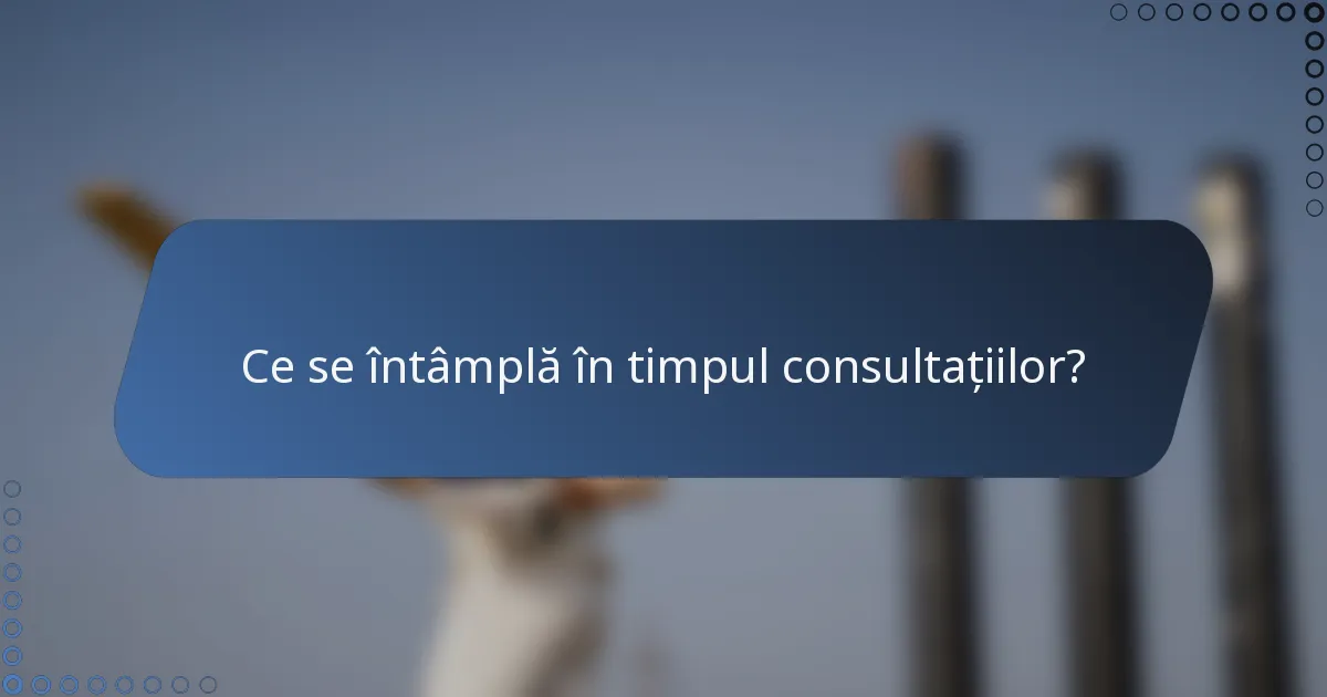 Ce se întâmplă în timpul consultațiilor?