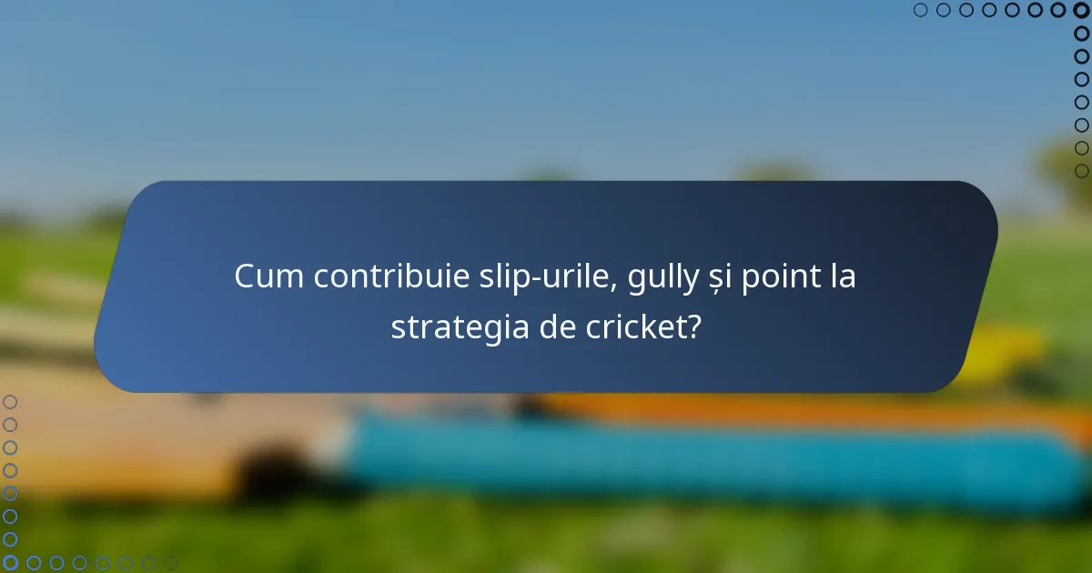 Cum contribuie slip-urile, gully și point la strategia de cricket?