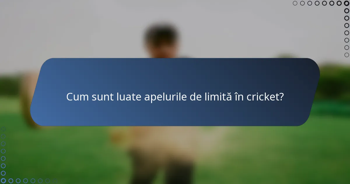 Cum sunt luate apelurile de limită în cricket?