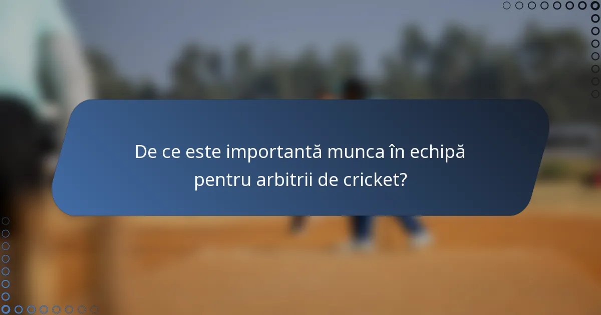 De ce este importantă munca în echipă pentru arbitrii de cricket?