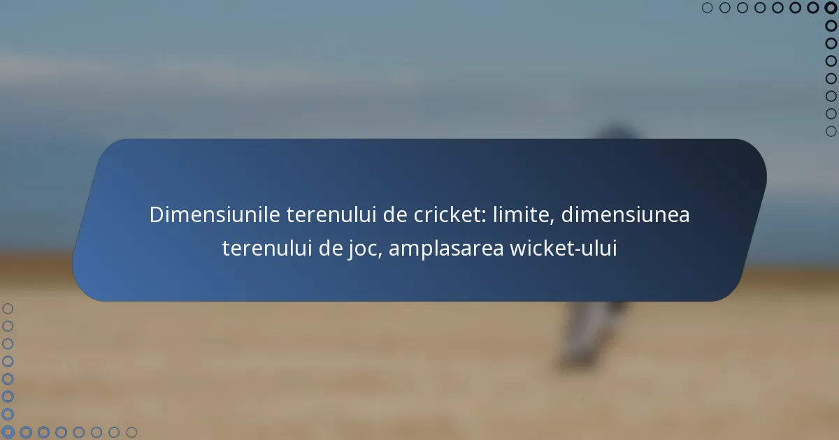 Dimensiunile terenului de cricket: limite, dimensiunea terenului de joc, amplasarea wicket-ului