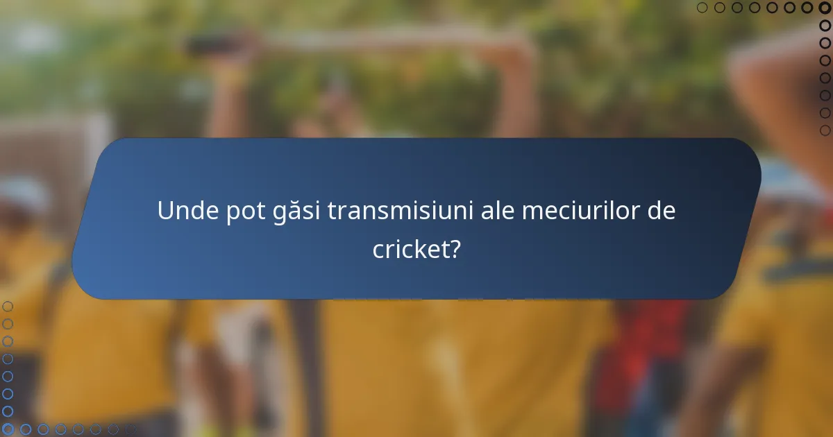 Unde pot găsi transmisiuni ale meciurilor de cricket?